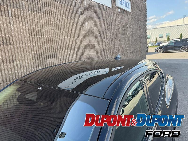 Ford Mustang Mach-e 12