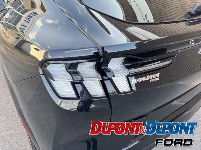 Ford Mustang Mach-e 13