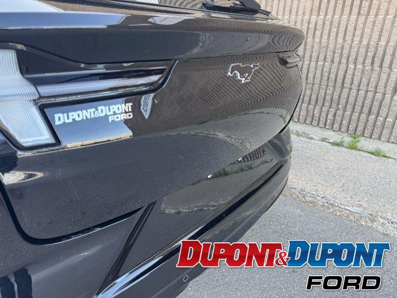 Ford Mustang Mach-e 14