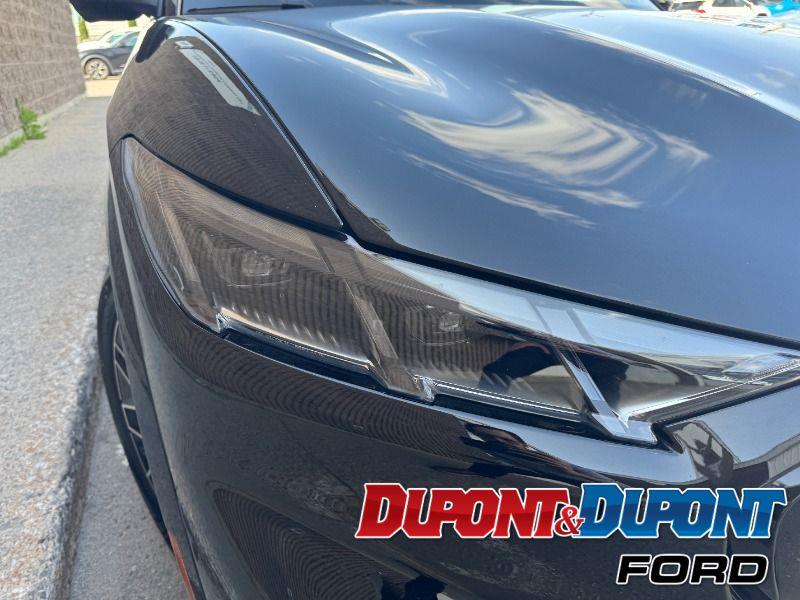 Ford Mustang Mach-e 16