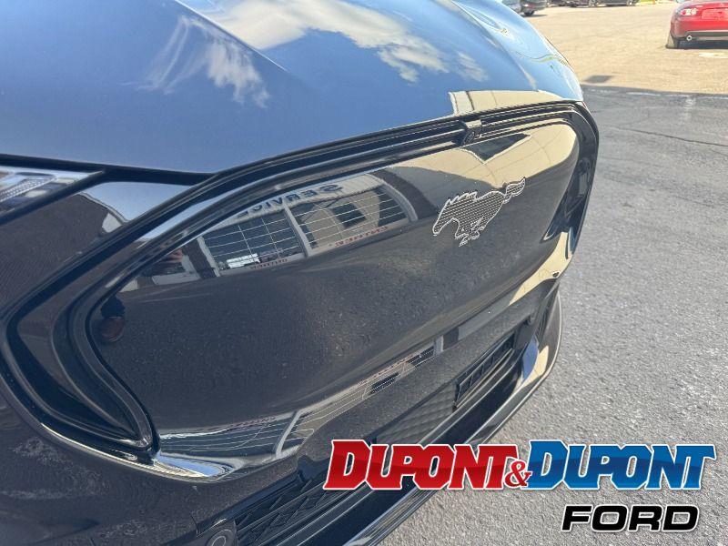 Ford Mustang Mach-e 17