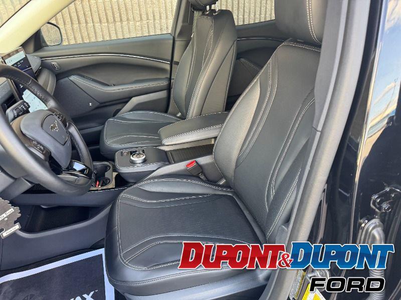 Ford Mustang Mach-e 19