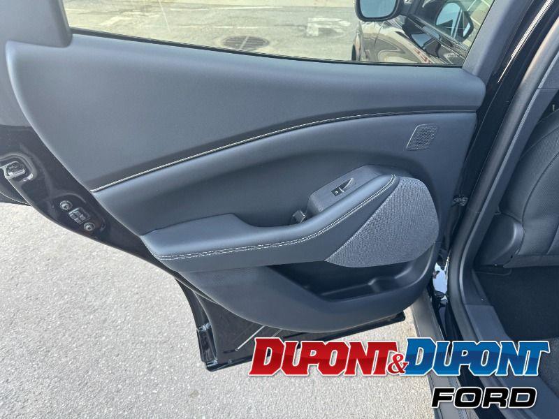 Ford Mustang Mach-e 20