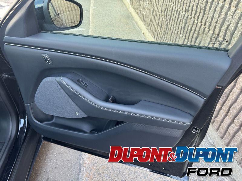 Ford Mustang Mach-e 25