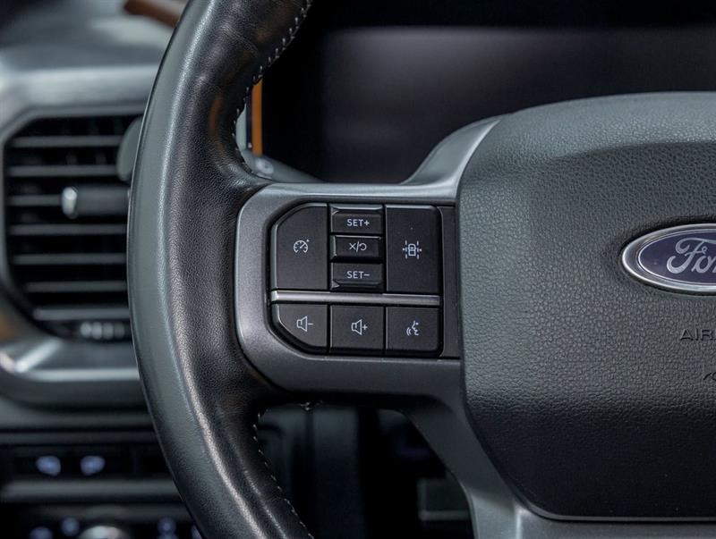 ford F-150 2021 - 14