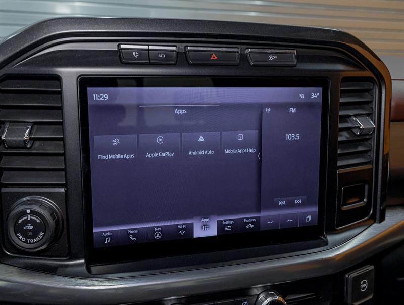 ford F-150 2021 - 17