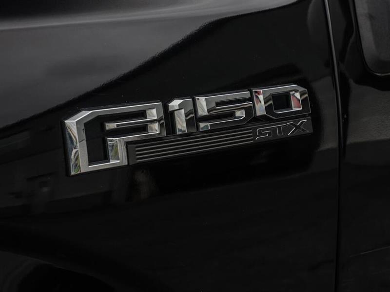ford F-150 2019 - 12