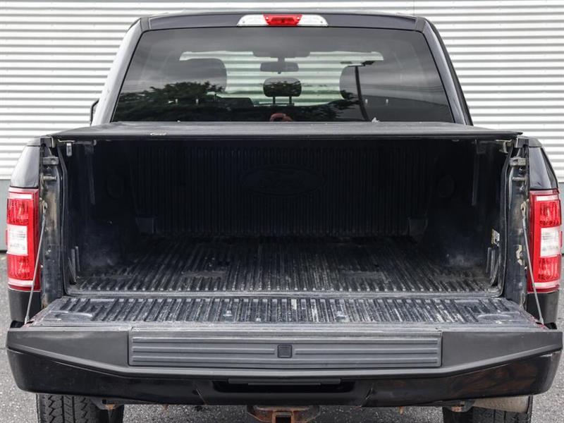 ford F-150 2019 - 13