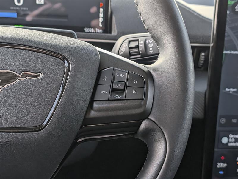 ford Mustang Mach-E 2024 - 19