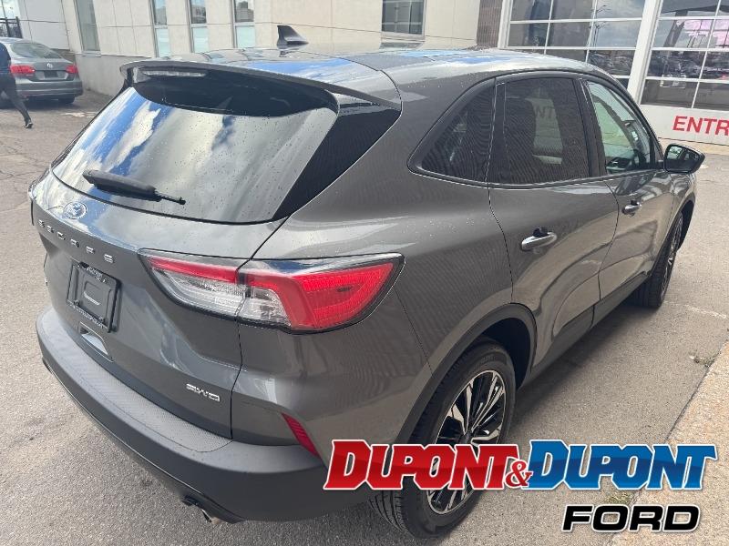 ford Escape 2022 - 5