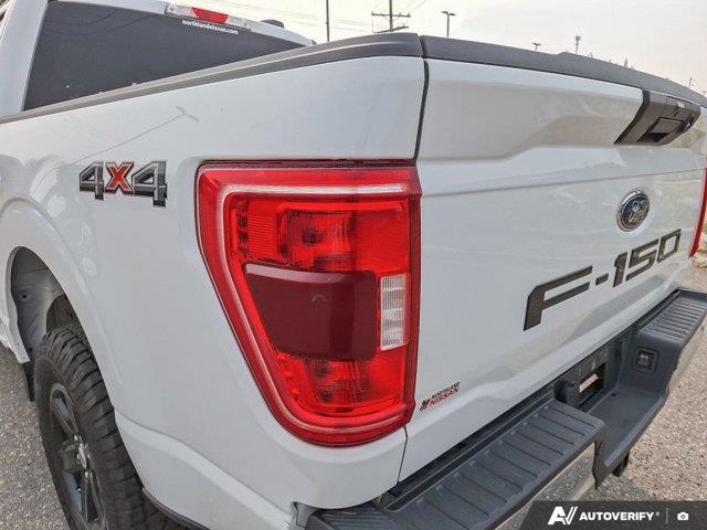 ford F-150 2022 - 13