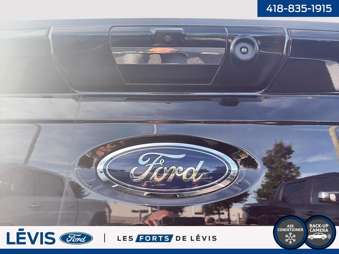 ford F-150 2021 - 10