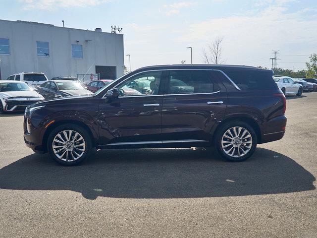 hyundai Palisade 2020 - 2