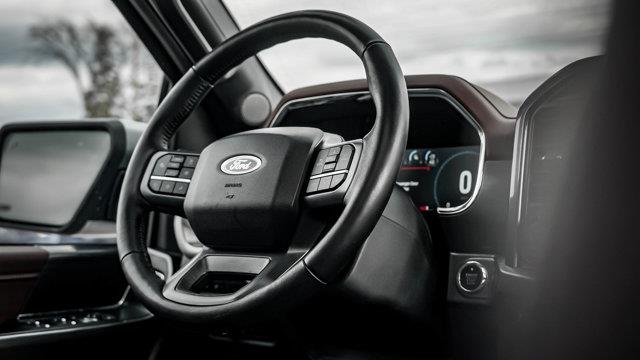 ford F-150 2023 - 16