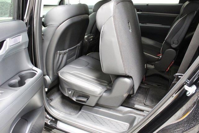 hyundai Palisade 2024 - 14