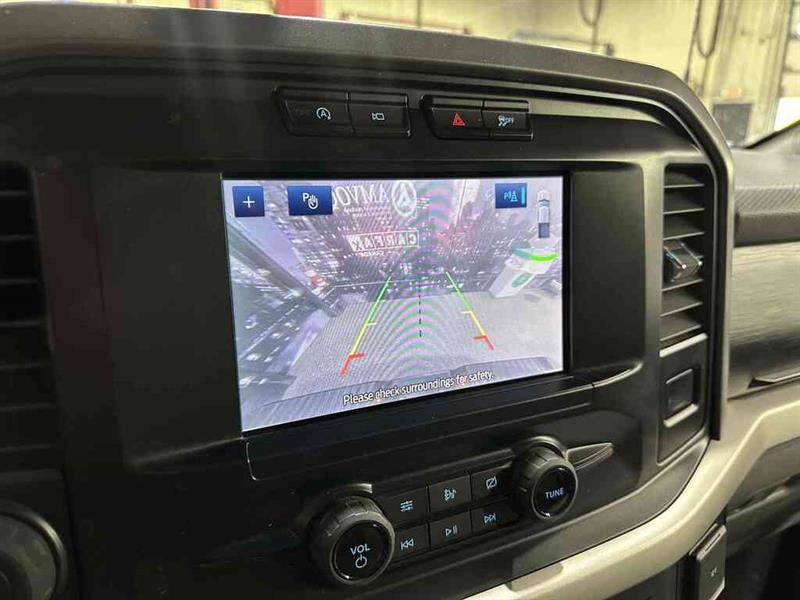 ford F-150 2021 - 15