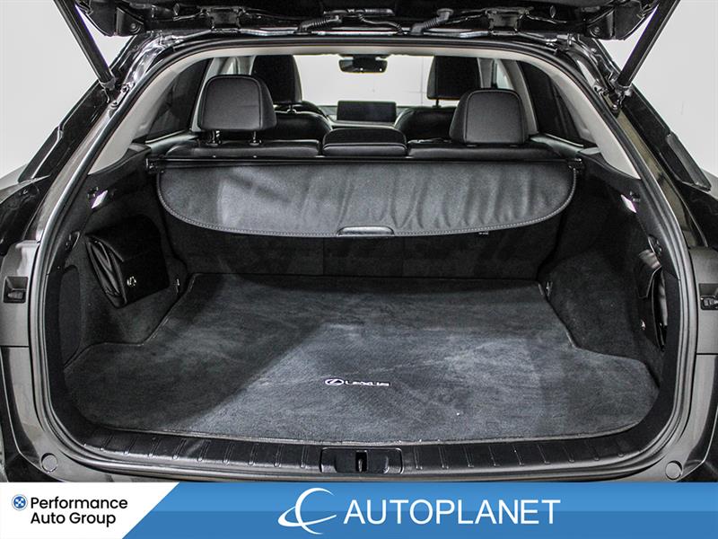 lexus RX 350 2022 - 14