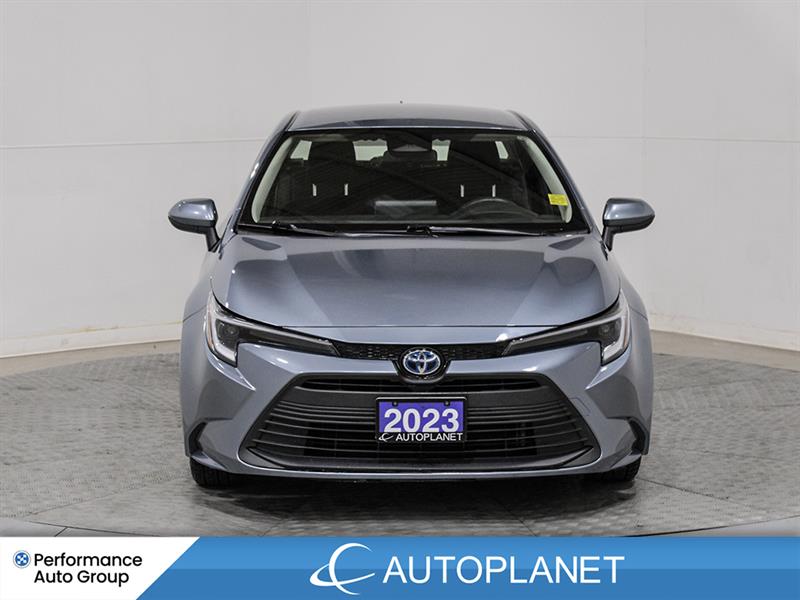 toyota Corolla 2023 - 2