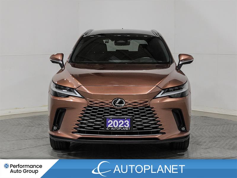 lexus RX 350 2023 - 2