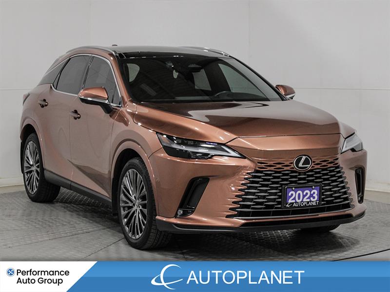 lexus RX 350 2023 - 3