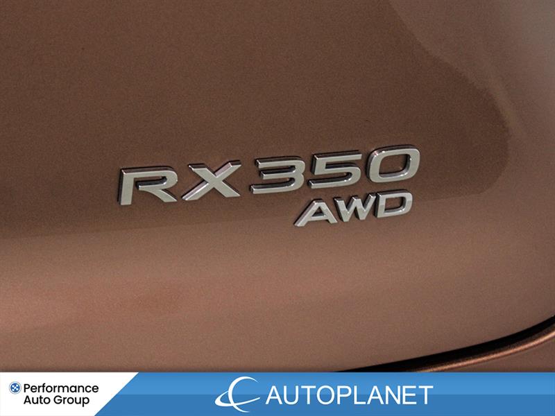 lexus RX 350 2023 - 14