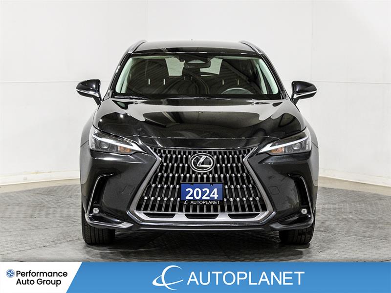 lexus NX 250 2024 - 2