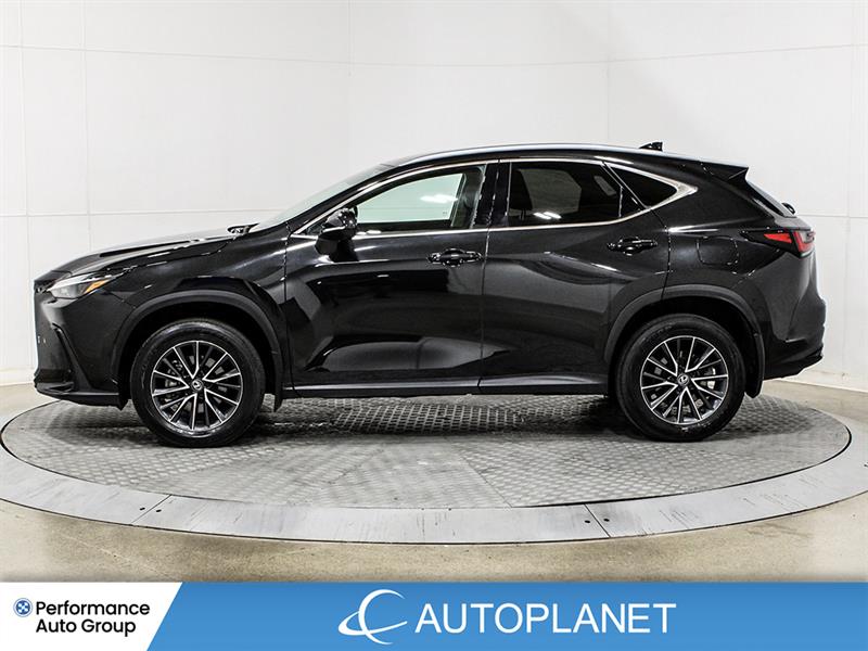 lexus NX 250 2024 - 4