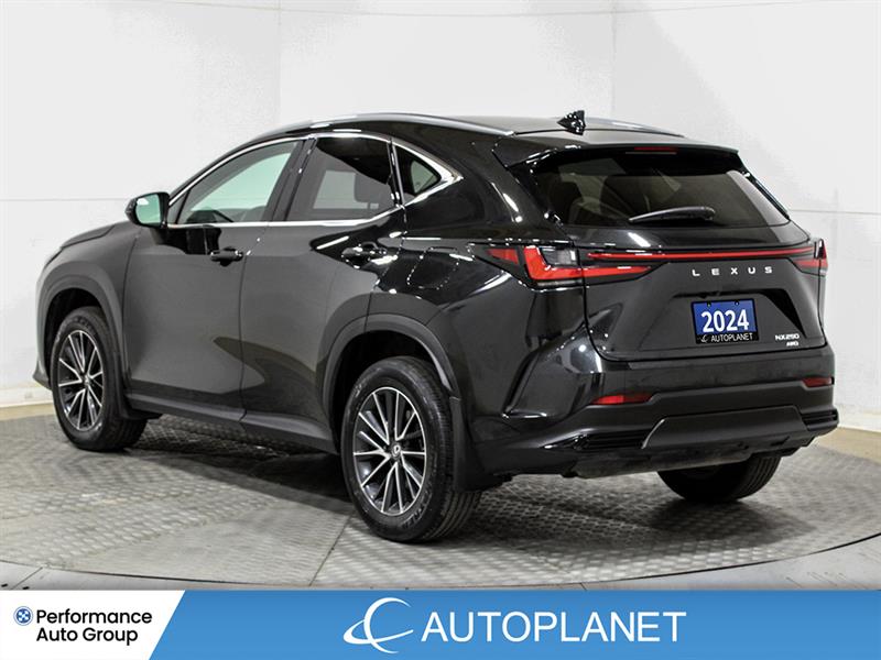 lexus NX 250 2024 - 6