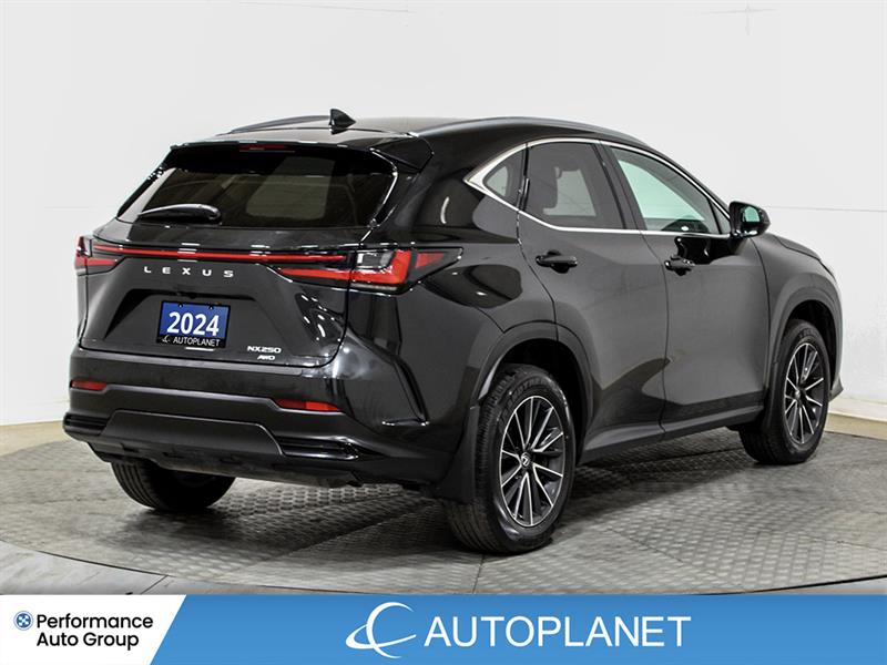 lexus NX 250 2024 - 8