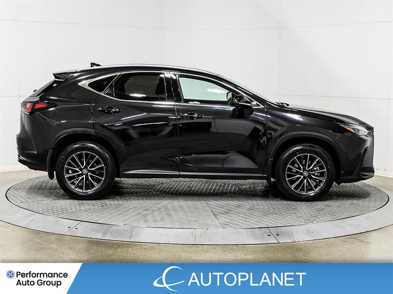 lexus NX 250 2024 - 9