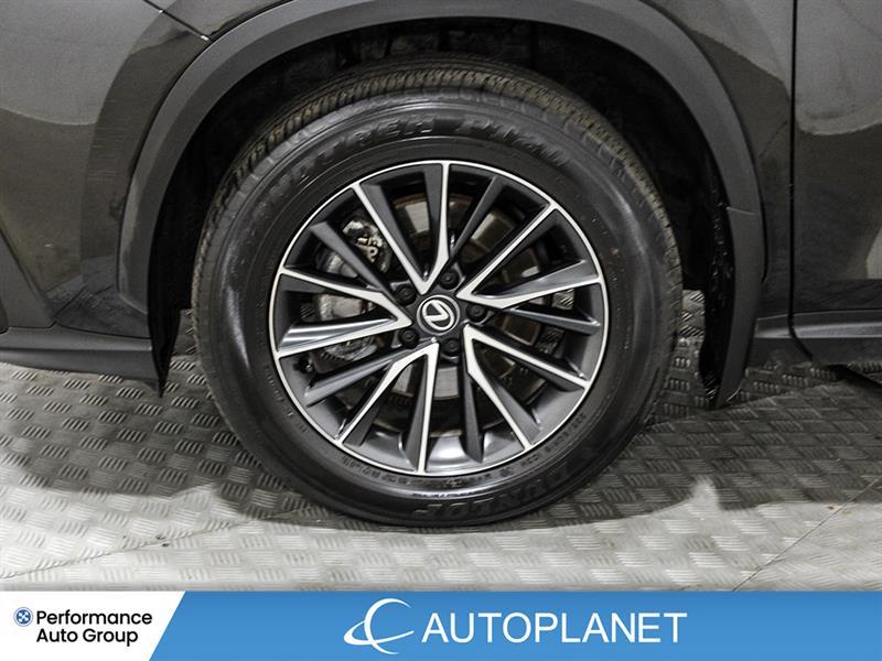 lexus NX 250 2024 - 12