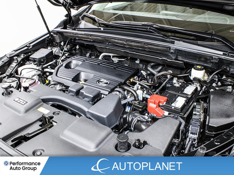 lexus NX 250 2024 - 15