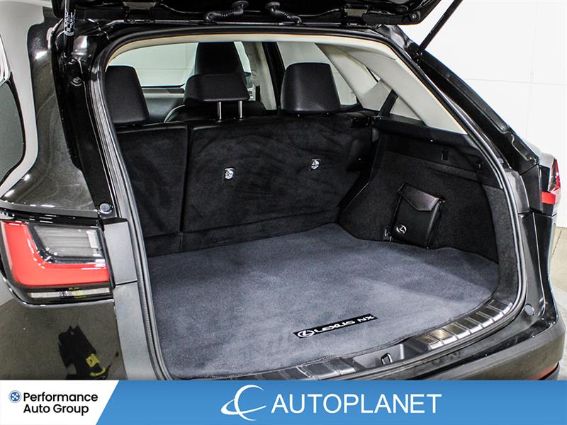 lexus NX 250 2024 - 16