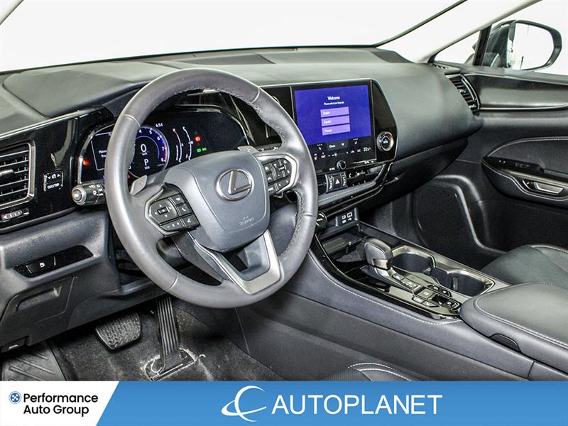 lexus NX 250 2024 - 18