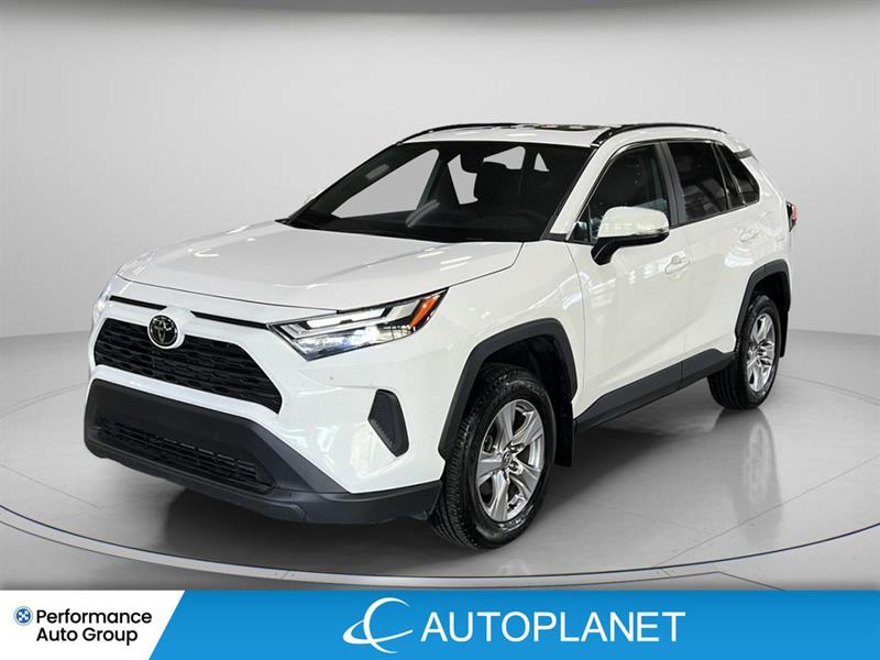 toyota RAV4 2023