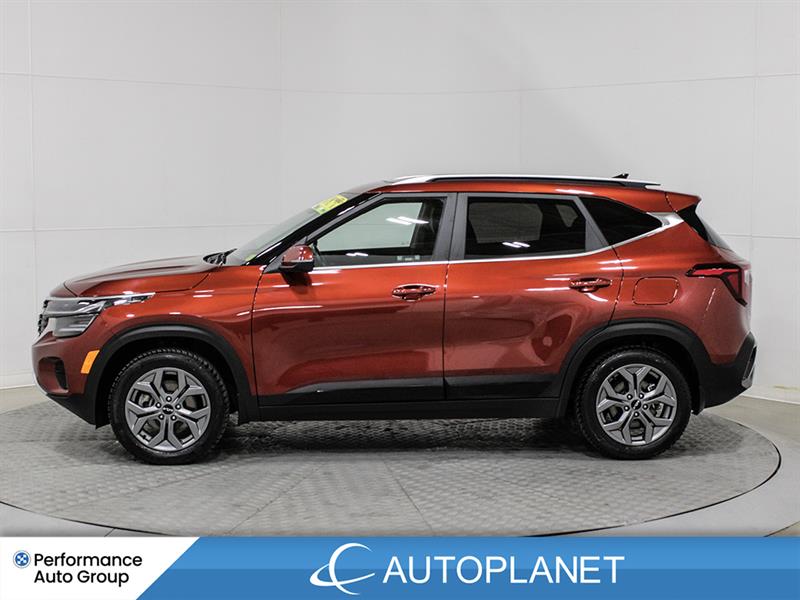 kia Seltos 2025 - 4