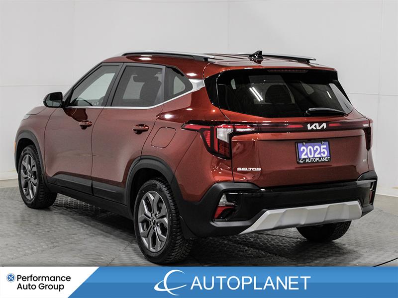 kia Seltos 2025 - 5
