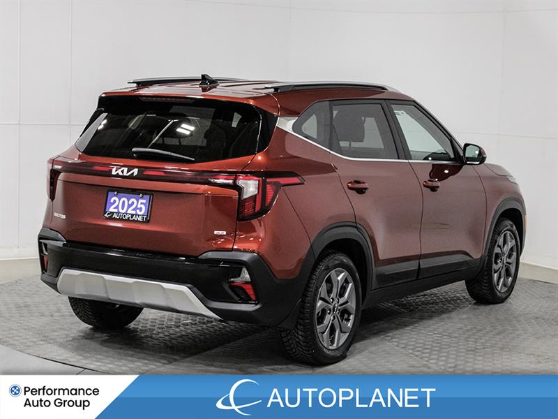 kia Seltos 2025 - 7