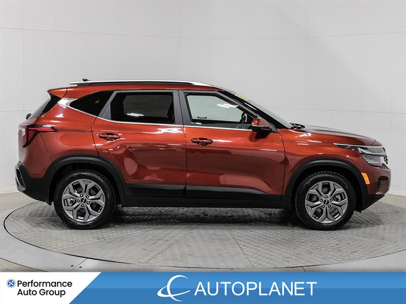 kia Seltos 2025 - 8