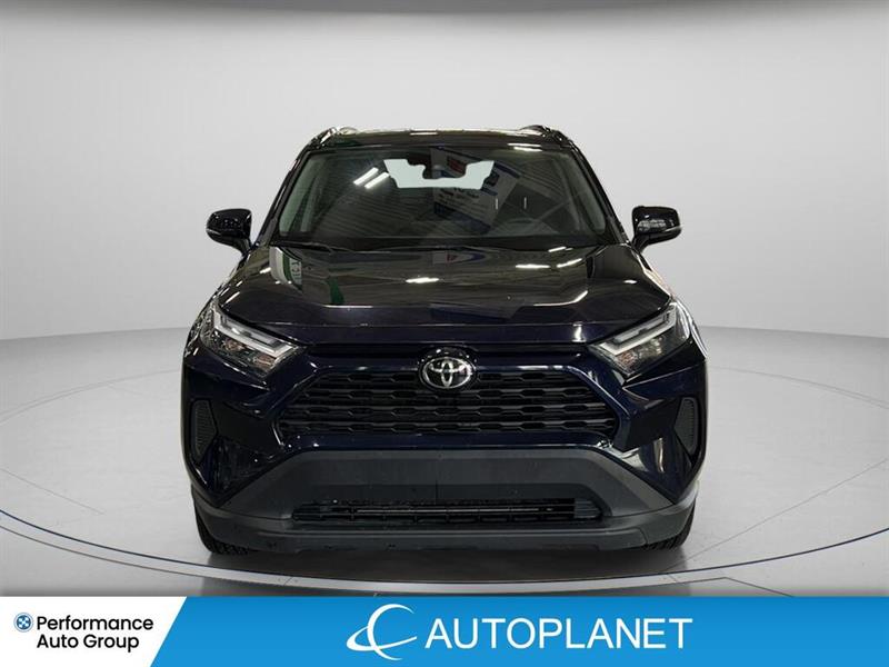toyota RAV4 2023 - 2