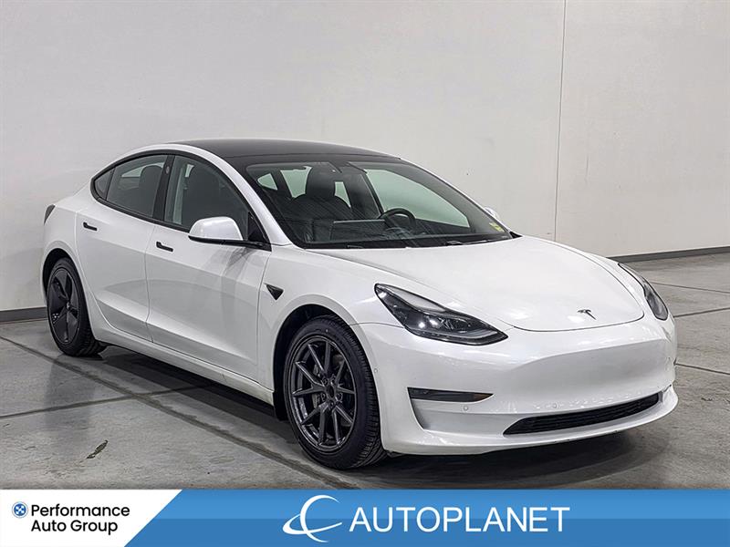 tesla Model 3 2021 - 3