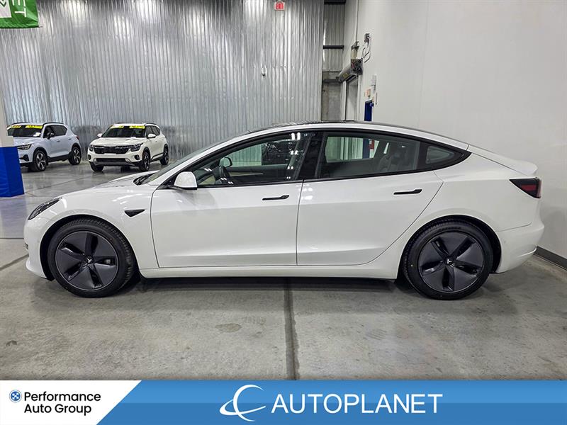 tesla Model 3 2021 - 4