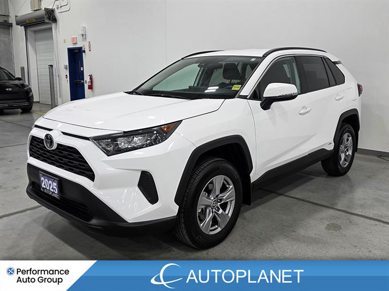 toyota RAV4 2025