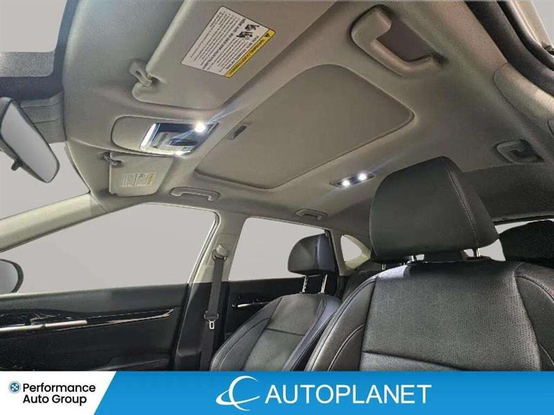 kia Seltos 2024 - 11