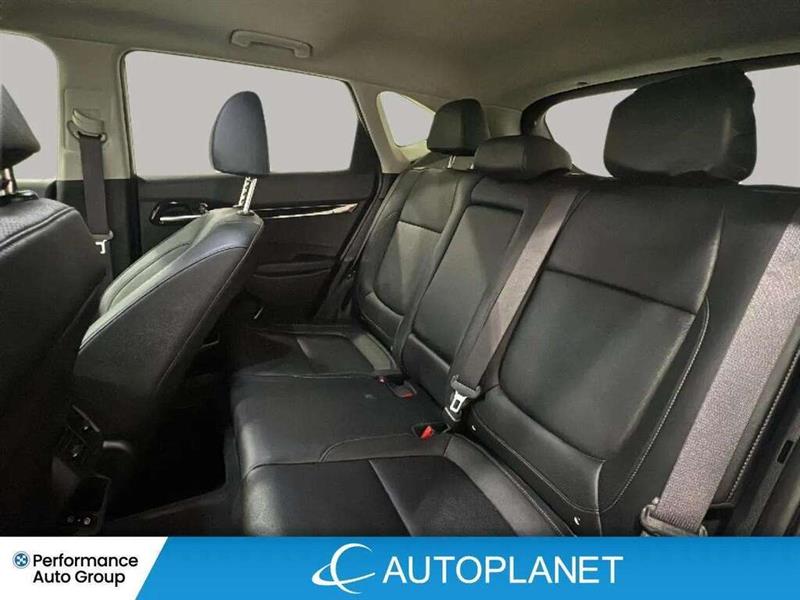 kia Seltos 2024 - 15