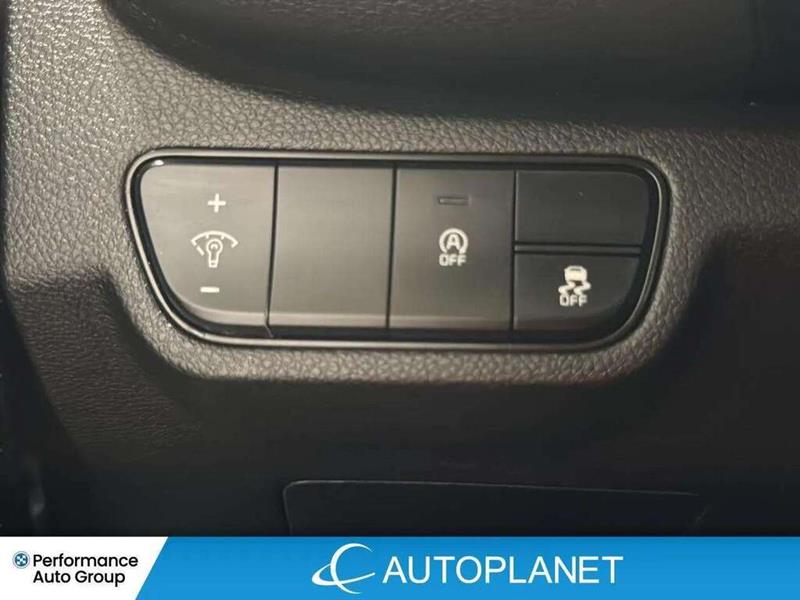kia Seltos 2024 - 18