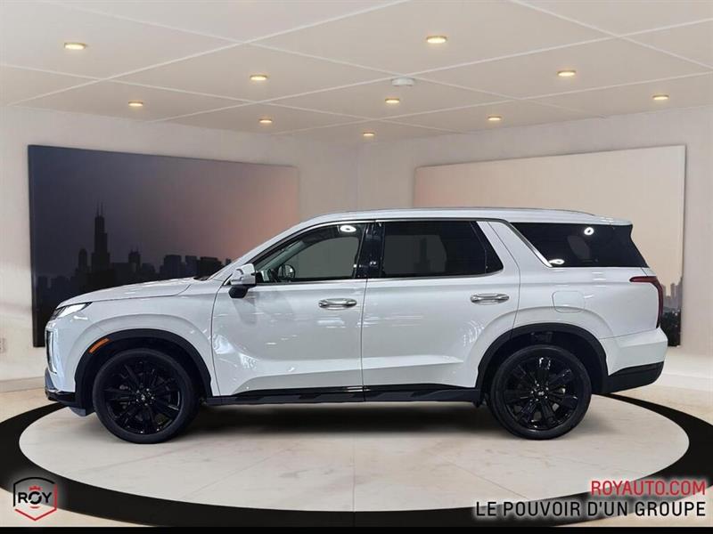 hyundai Palisade 2023 - 6