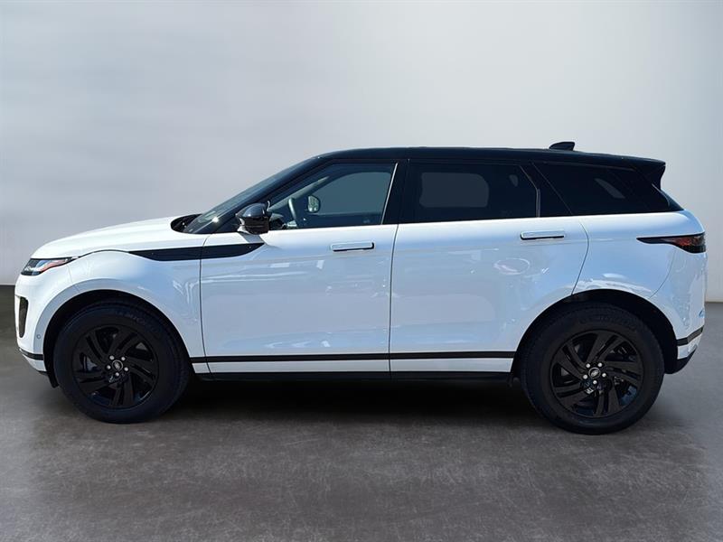 land rover Range Rover Evoque 2024 - 3