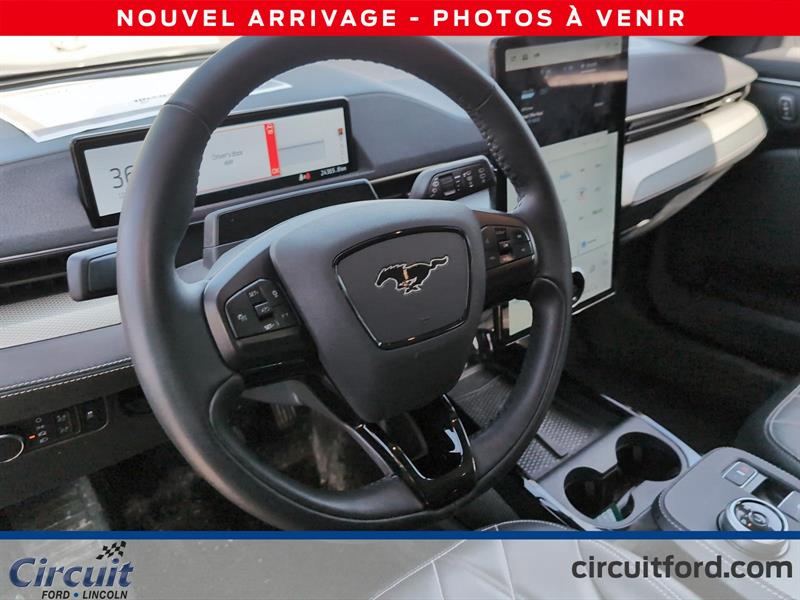 ford Mustang Mach-E 2022 - 7