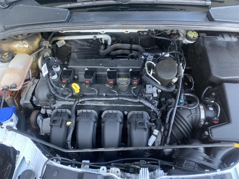ford Focus 2014 - 16